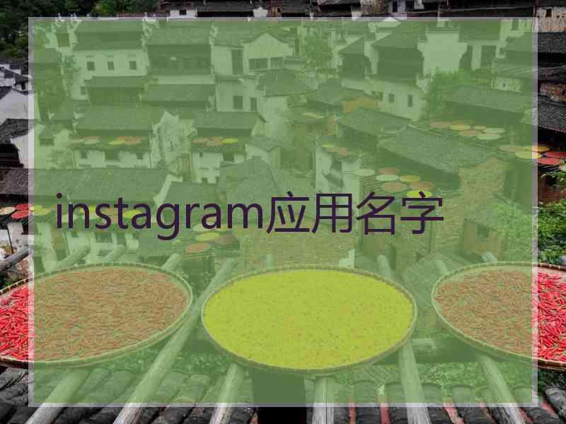 instagram应用名字