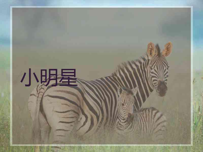 小明星