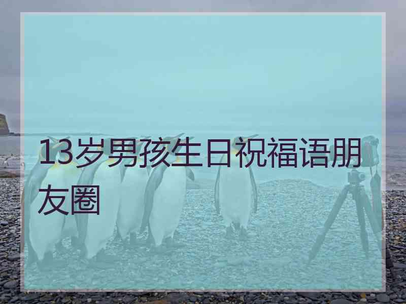 13岁男孩生日祝福语朋友圈