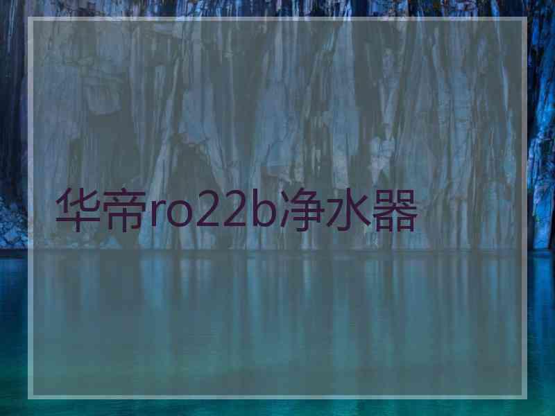 华帝ro22b净水器