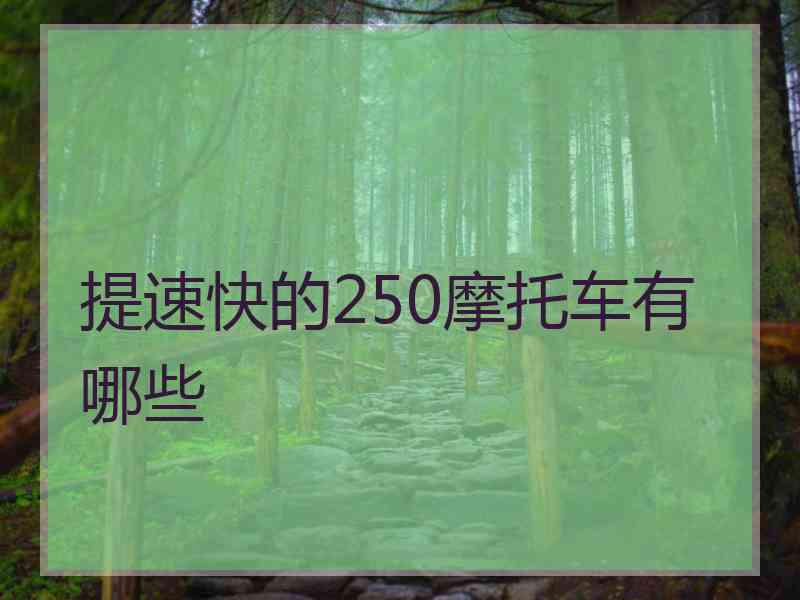 提速快的250摩托车有哪些