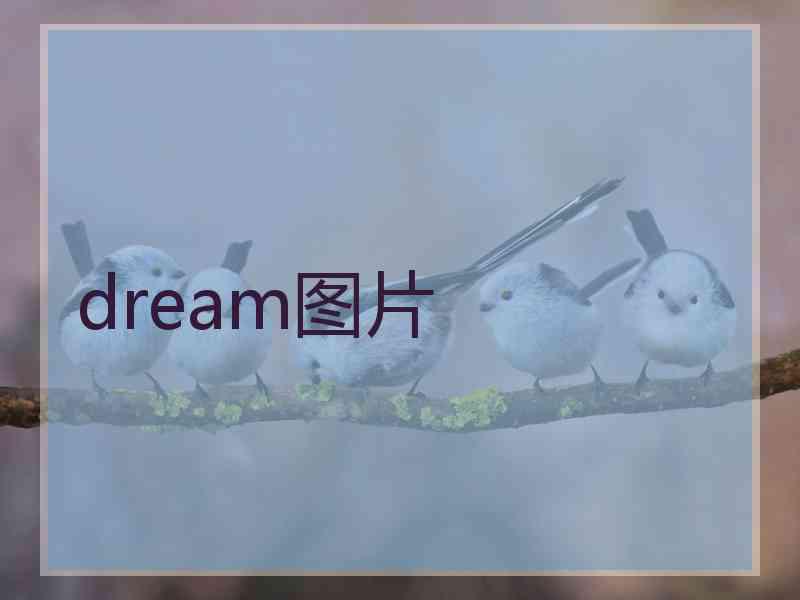 dream图片