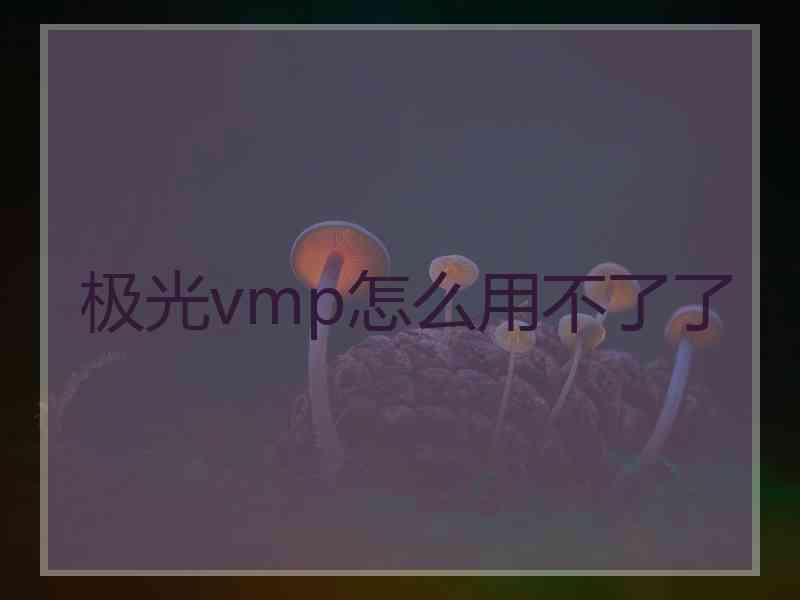 极光vmp怎么用不了了