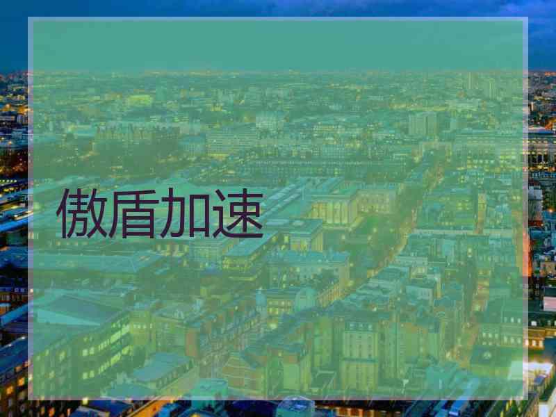 傲盾加速