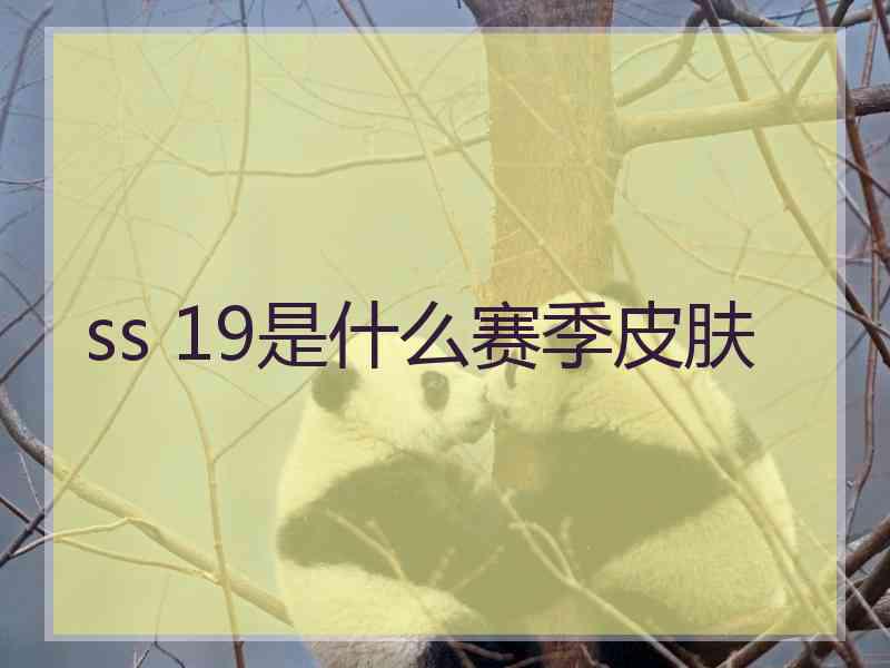 ss 19是什么赛季皮肤