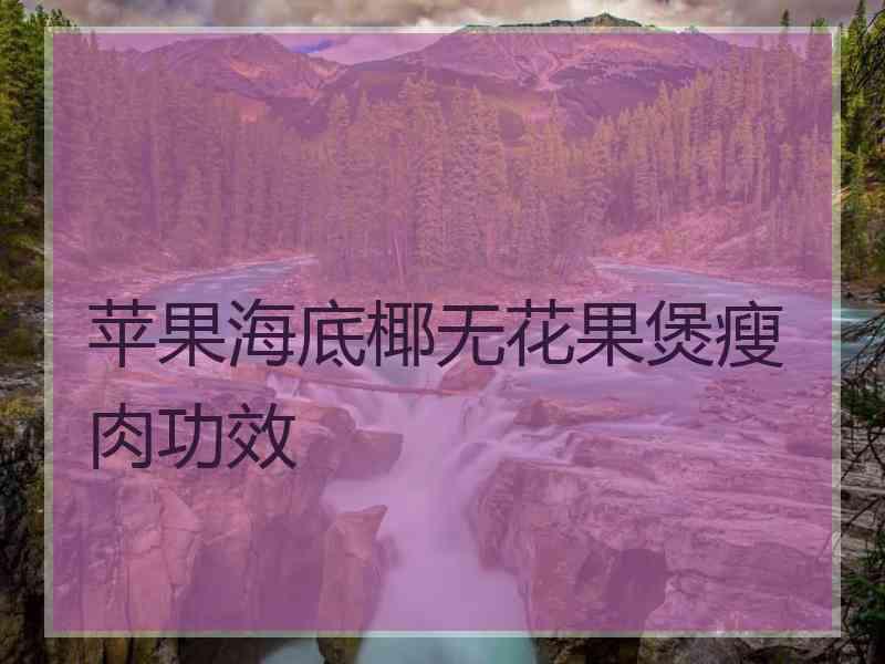 苹果海底椰无花果煲瘦肉功效
