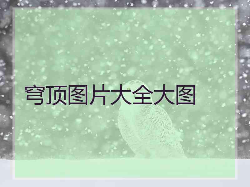 穹顶图片大全大图