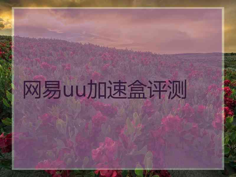 网易uu加速盒评测