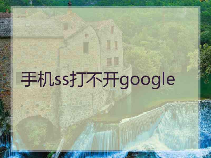手机ss打不开google