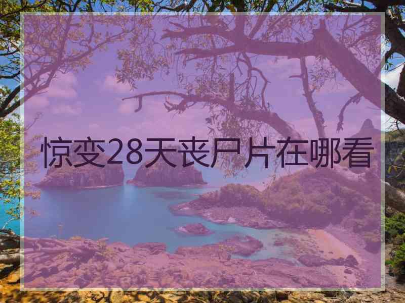 惊变28天丧尸片在哪看