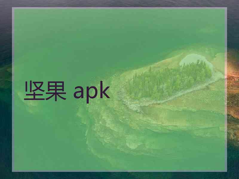 坚果 apk