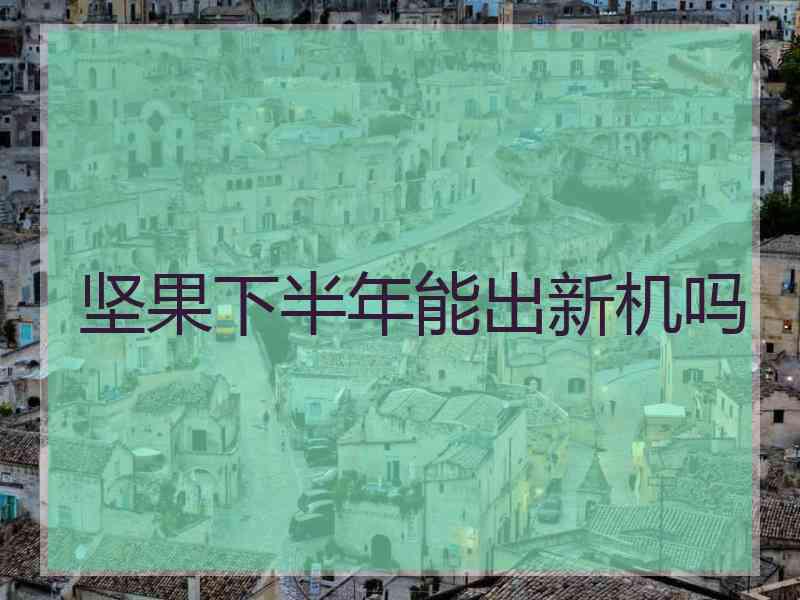 坚果下半年能出新机吗