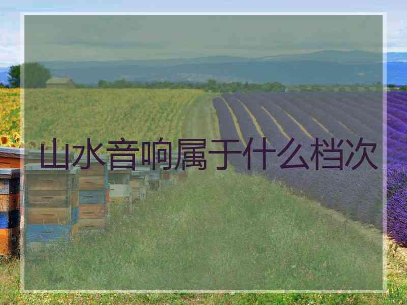山水音响属于什么档次