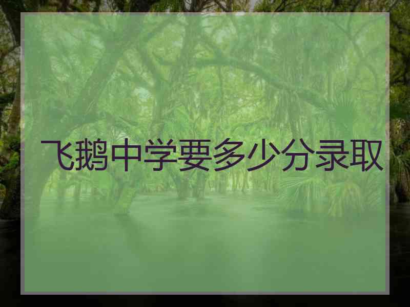 飞鹅中学要多少分录取
