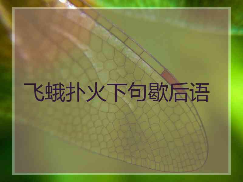 飞蛾扑火下句歇后语