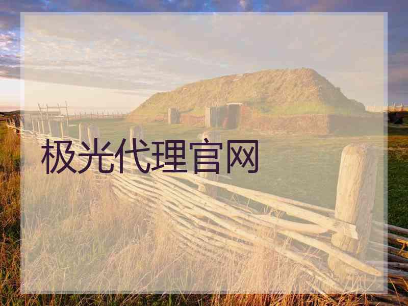 极光代理官网