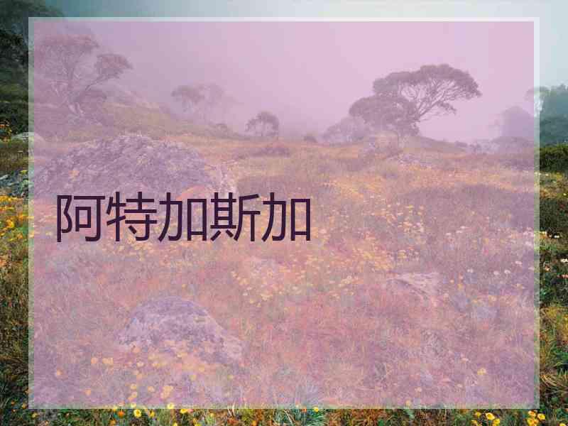 阿特加斯加