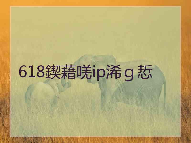 618鍥藉唴ip浠ｇ悊