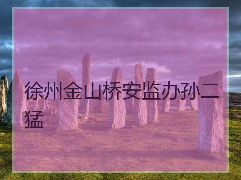 徐州金山桥安监办孙二猛