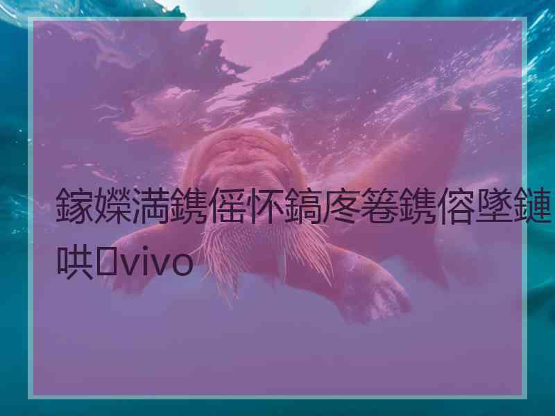 鎵嬫満鎸傜怀鎬庝箞鎸傛墜鏈哄vivo