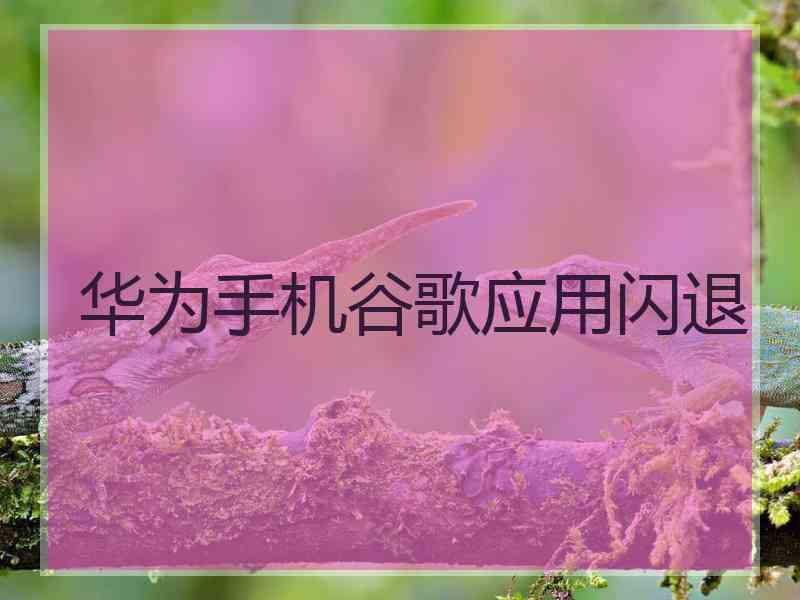 华为手机谷歌应用闪退