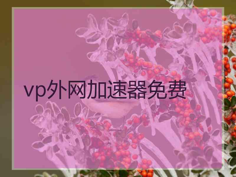 vp外网加速器免费