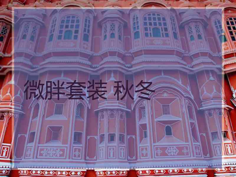 微胖套装 秋冬