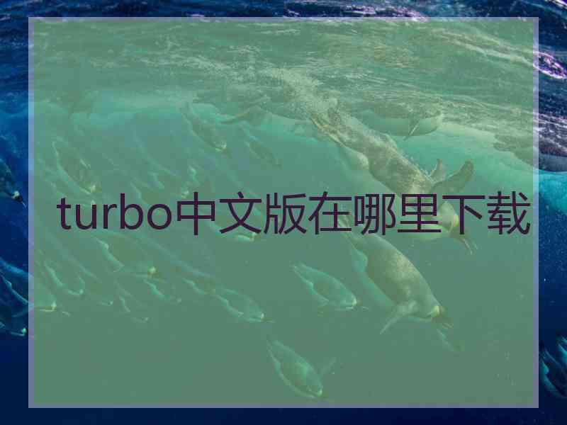 turbo中文版在哪里下载