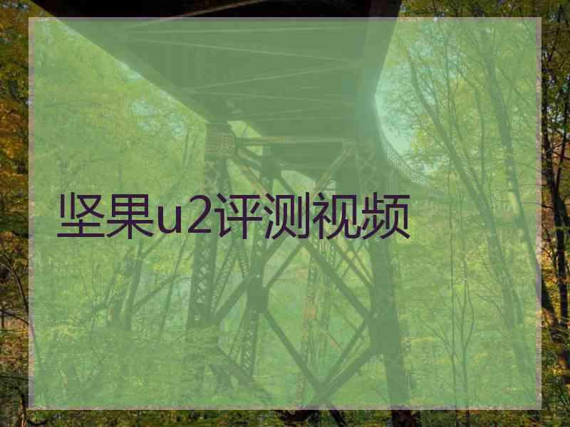 坚果u2评测视频