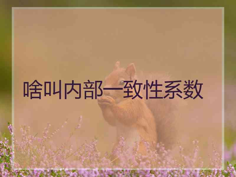 啥叫内部一致性系数