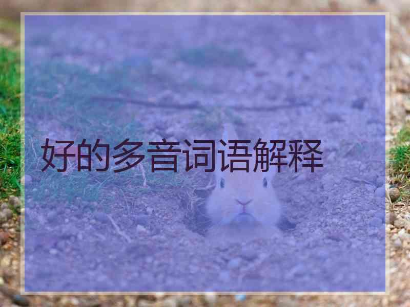 好的多音词语解释