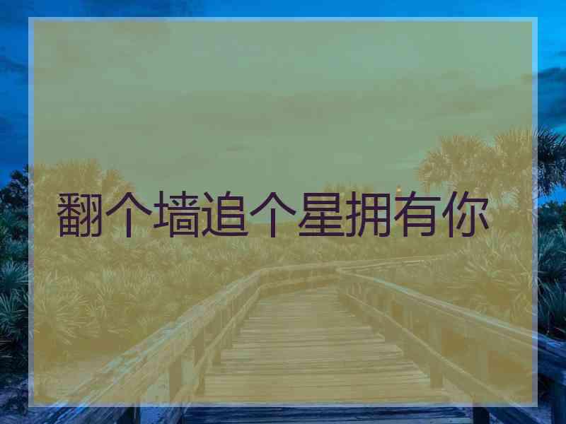 翻个墙追个星拥有你