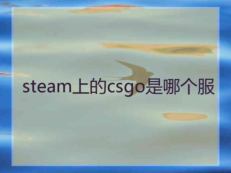 steam上的csgo是哪个服