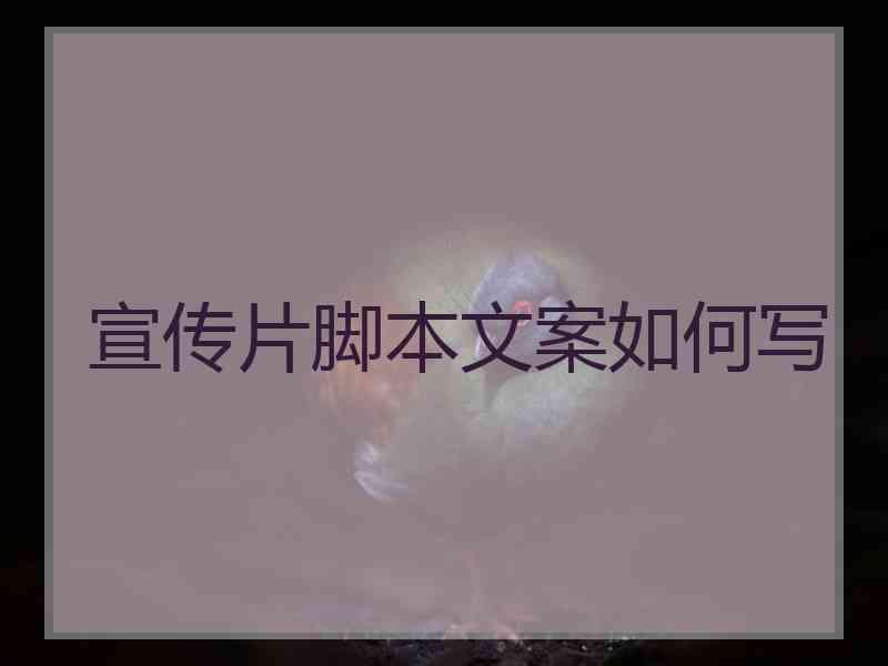 宣传片脚本文案如何写