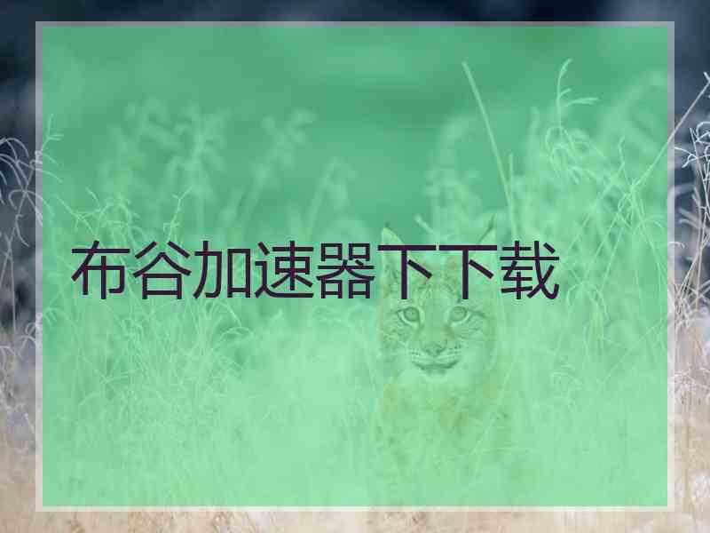 布谷加速器下下载