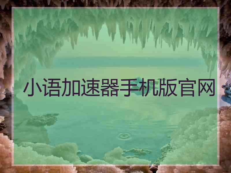 小语加速器手机版官网