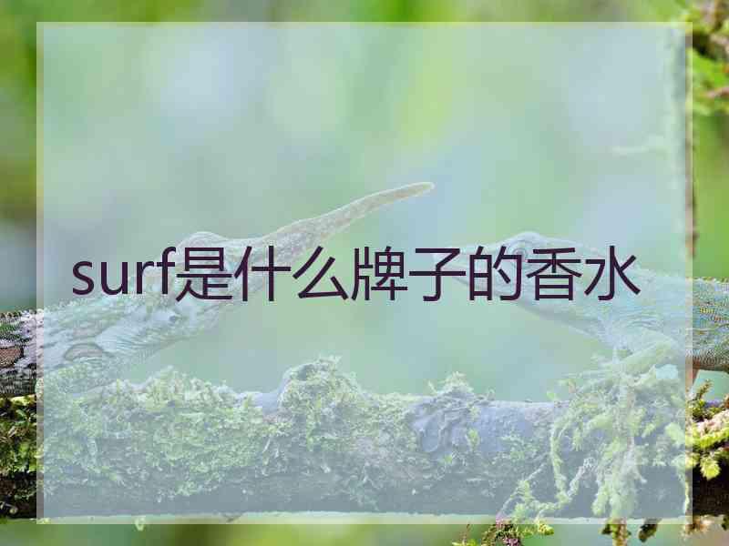 surf是什么牌子的香水
