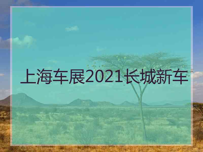 上海车展2021长城新车