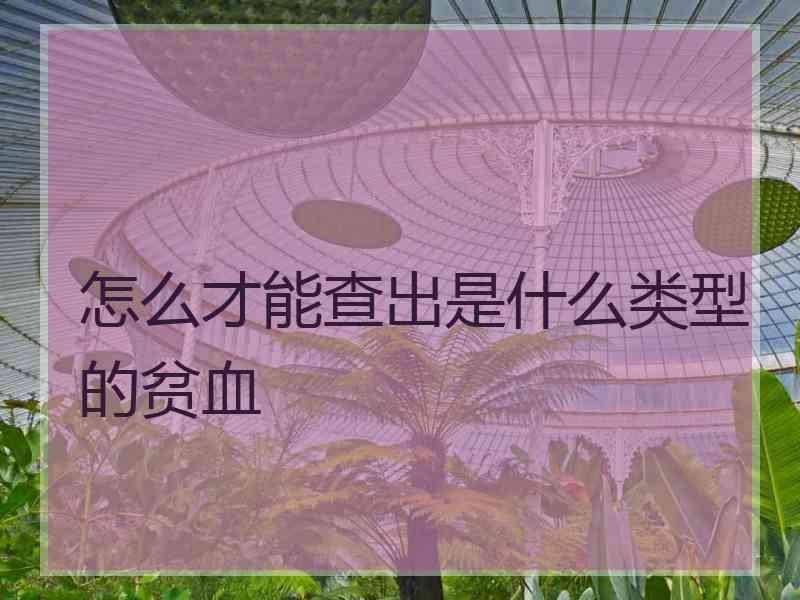 怎么才能查出是什么类型的贫血