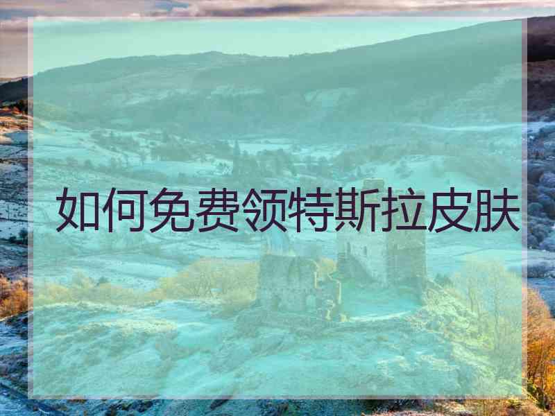 如何免费领特斯拉皮肤
