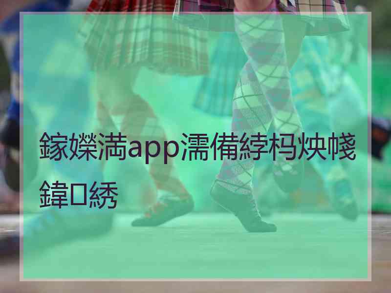 鎵嬫満app濡備綍杩炴帴鍏綉