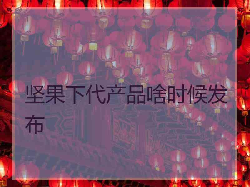 坚果下代产品啥时候发布