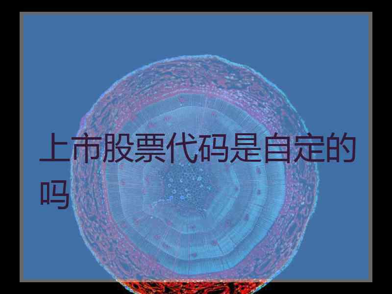 上市股票代码是自定的吗