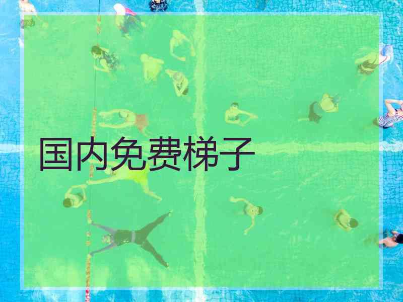 国内免费梯子