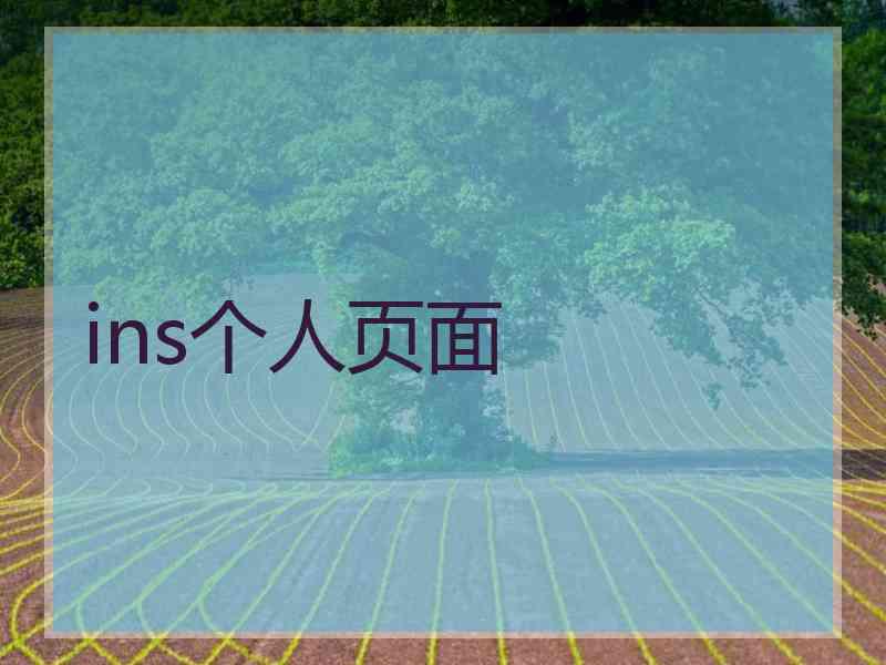 ins个人页面