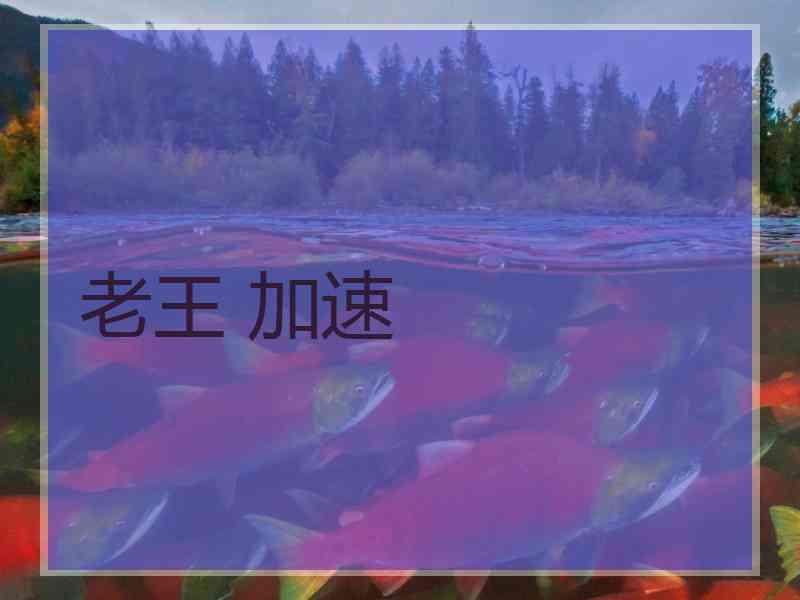 老王 加速