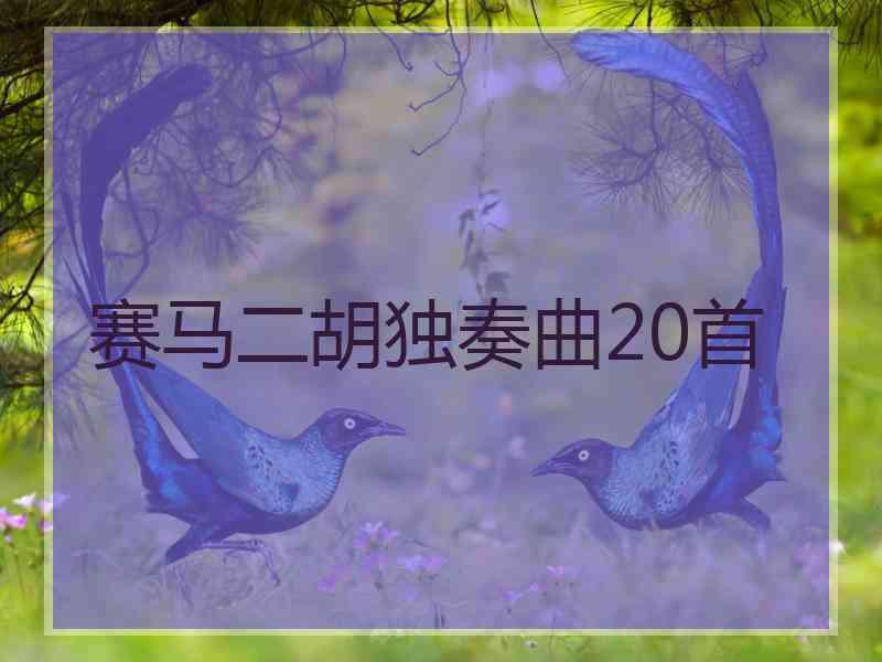 赛马二胡独奏曲20首