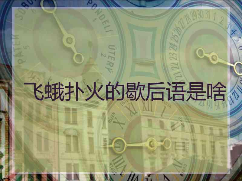 飞蛾扑火的歇后语是啥