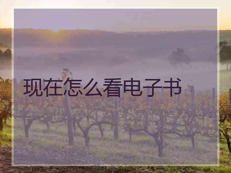 现在怎么看电子书