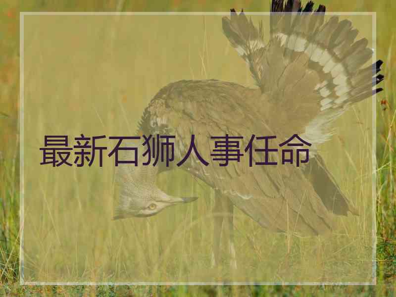 最新石狮人事任命